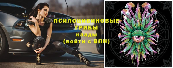 mdpv Балахна