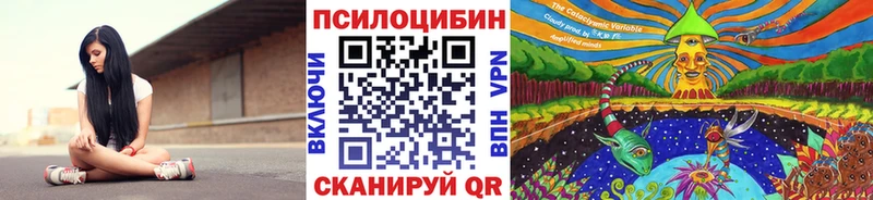 Галлюциногенные грибы Magic Shrooms  хочу   Кодинск 