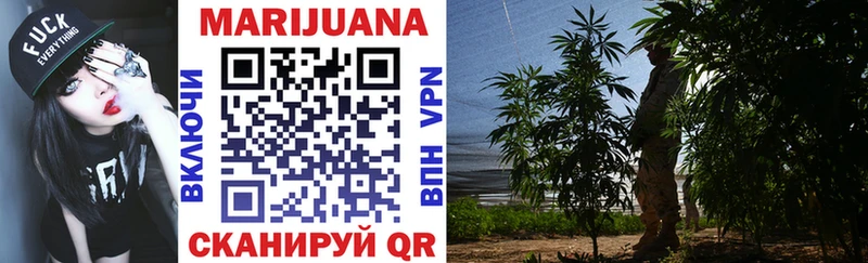 как найти закладки  Кодинск  Конопля LSD WEED 
